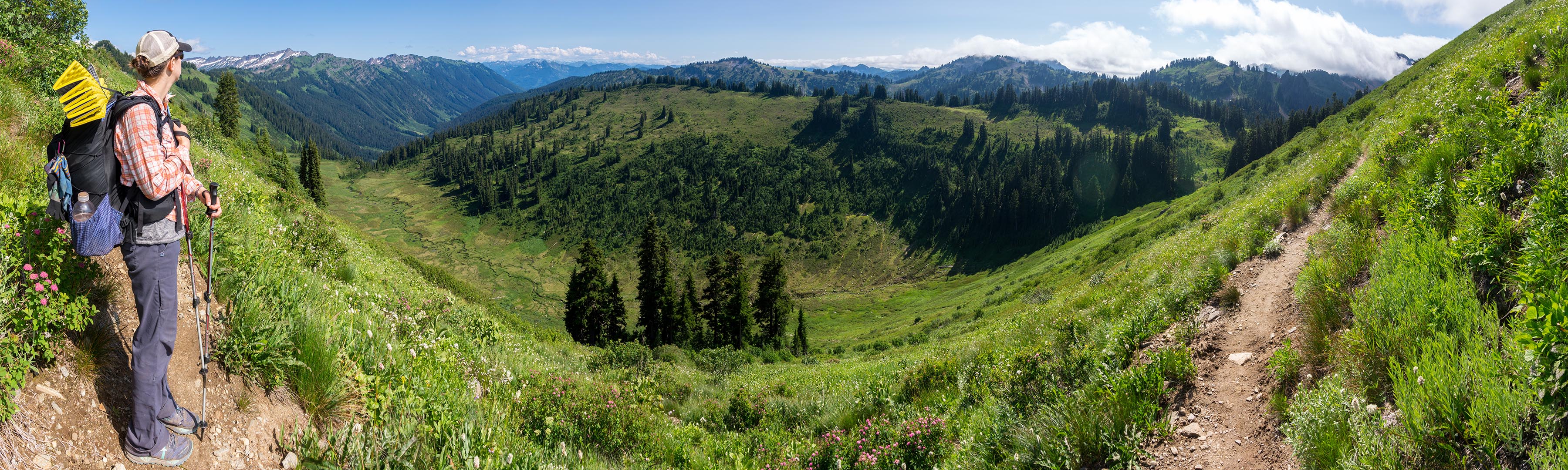 Meander Meadow | 03-AUG-2016